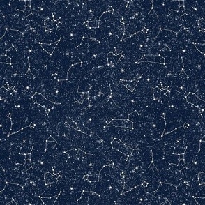 Small Scale Constellation Starry Skies on Galactic Navy