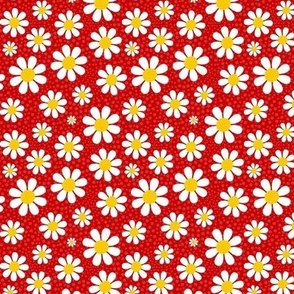 Small Scale White Daisies Daisy Flowers on Red