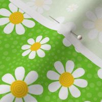 Medium Scale White Daisies Daisy Flowers on Bright Lime Green