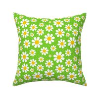 Medium Scale White Daisies Daisy Flowers on Bright Lime Green