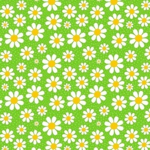 Small Scale White Daisies Daisy Flowers on Bright Lime Green