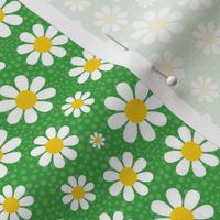 Small Scale White Daisies Daisy Flowers on Emerald Green