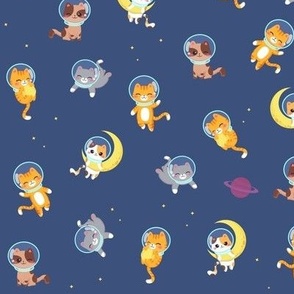 Kitty Cats in Space