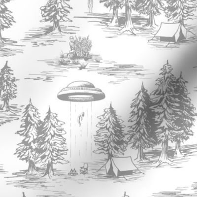 Large-Scale Gray & White Alien Abduction Toile de Jouy