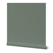 Solid Gray Green