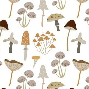 Forest Mushrooms on White