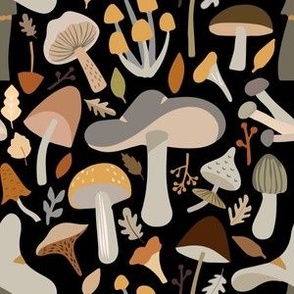 Woodland Mushrooms on Black Background
