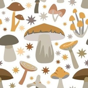 Forest Mushrooms
