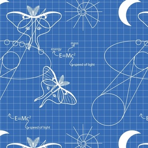 Luna Moth Math large scale