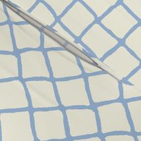 FISHNET light blue 5"