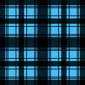 Plaid check in black and blue