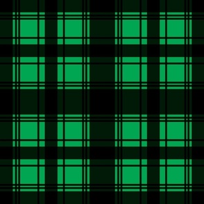 Plaid check in black and green