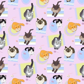 Cats on Mats on Pink