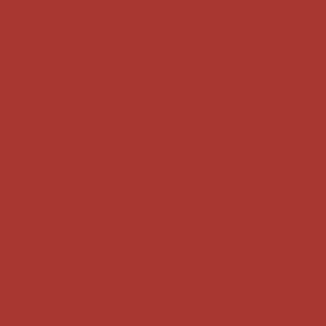 Dark Red Solid Color Coordinates w/ Pantone 2021-2022 Autumn / Winter Trending Hue Fire Whirl 18-1453 - Colour Trends - Shades