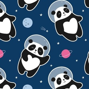 Panda Bear Outer Space