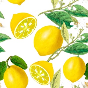 Summer,citrus ,floral Mediterranean style ,lemon fruit pattern 
