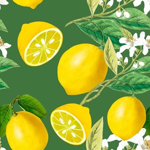 Summer, citrus ,floral Mediterranean style ,lemon fruit pattern 