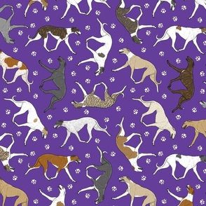 Trotting Greyhounds and paw prints - purple