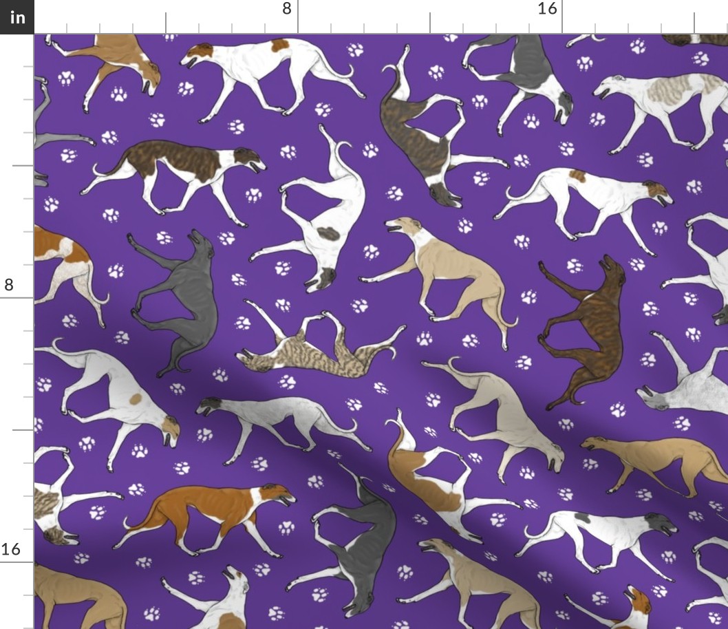 Trotting Greyhounds and paw prints - purple