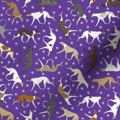 Tiny Trotting Greyhounds and paw prints - purple