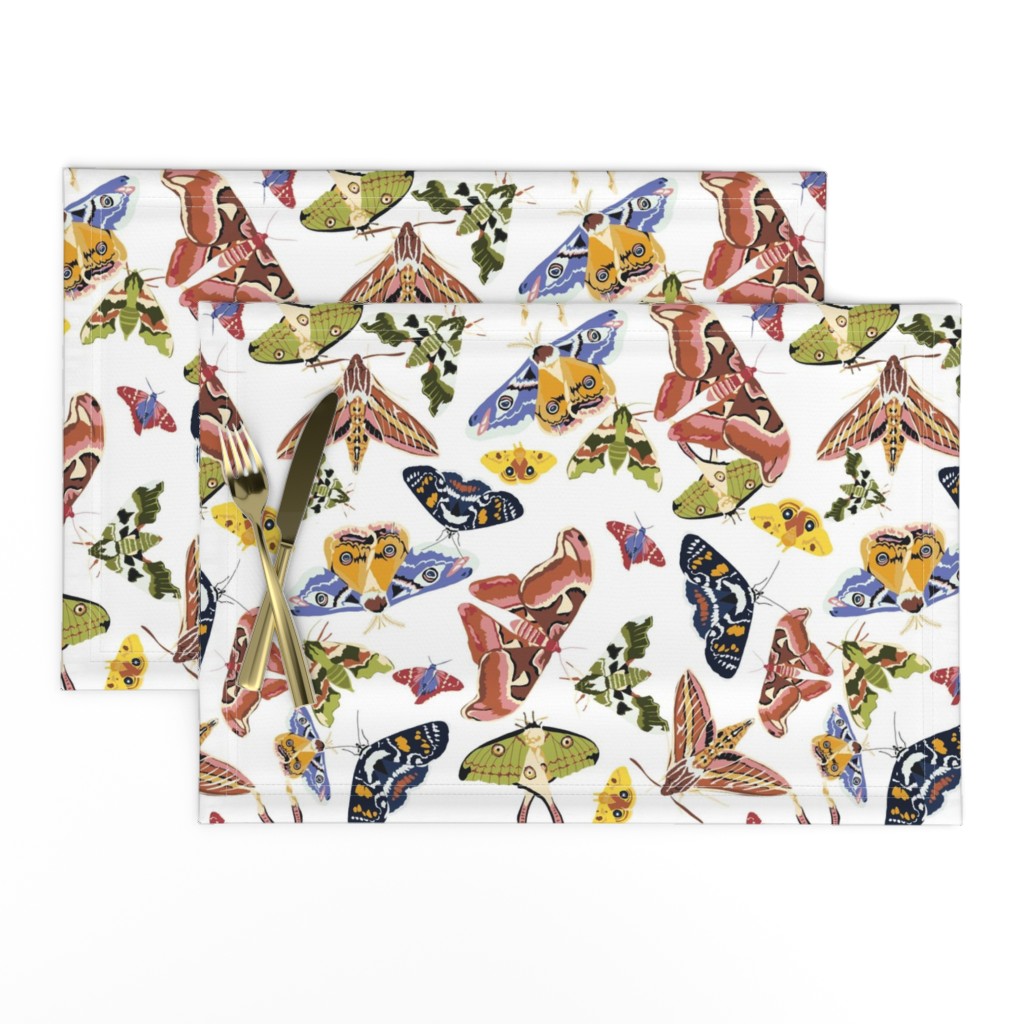 Multicolour Moths