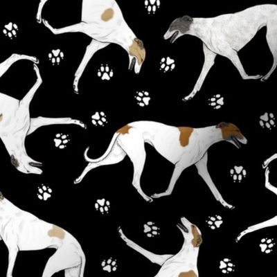 Trotting light Greyhounds and paw prints - black