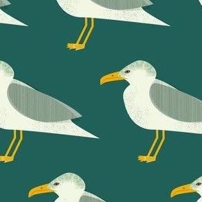 Seagulls / green