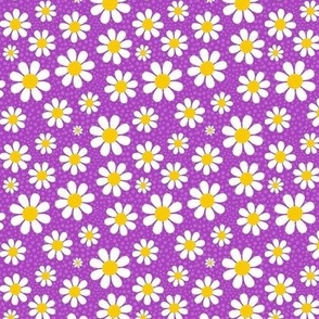 Small Scale White Daisies Daisy Flowers on Magenta Purple