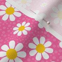 Medium Scale White Daisies Daisy Flowers on Pink