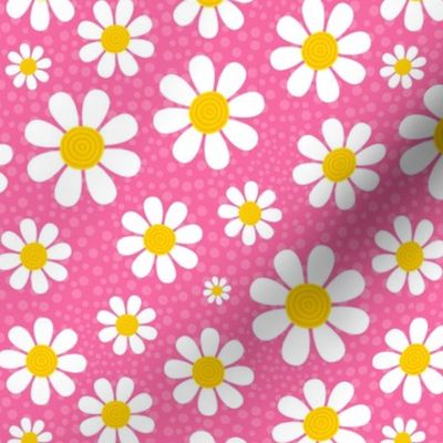 Medium Scale White Daisies Daisy Flowers on Pink