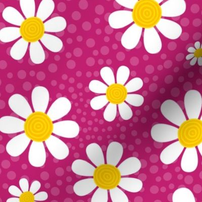 Large Scale White Daisies Daisy Flowers on Hot Pink