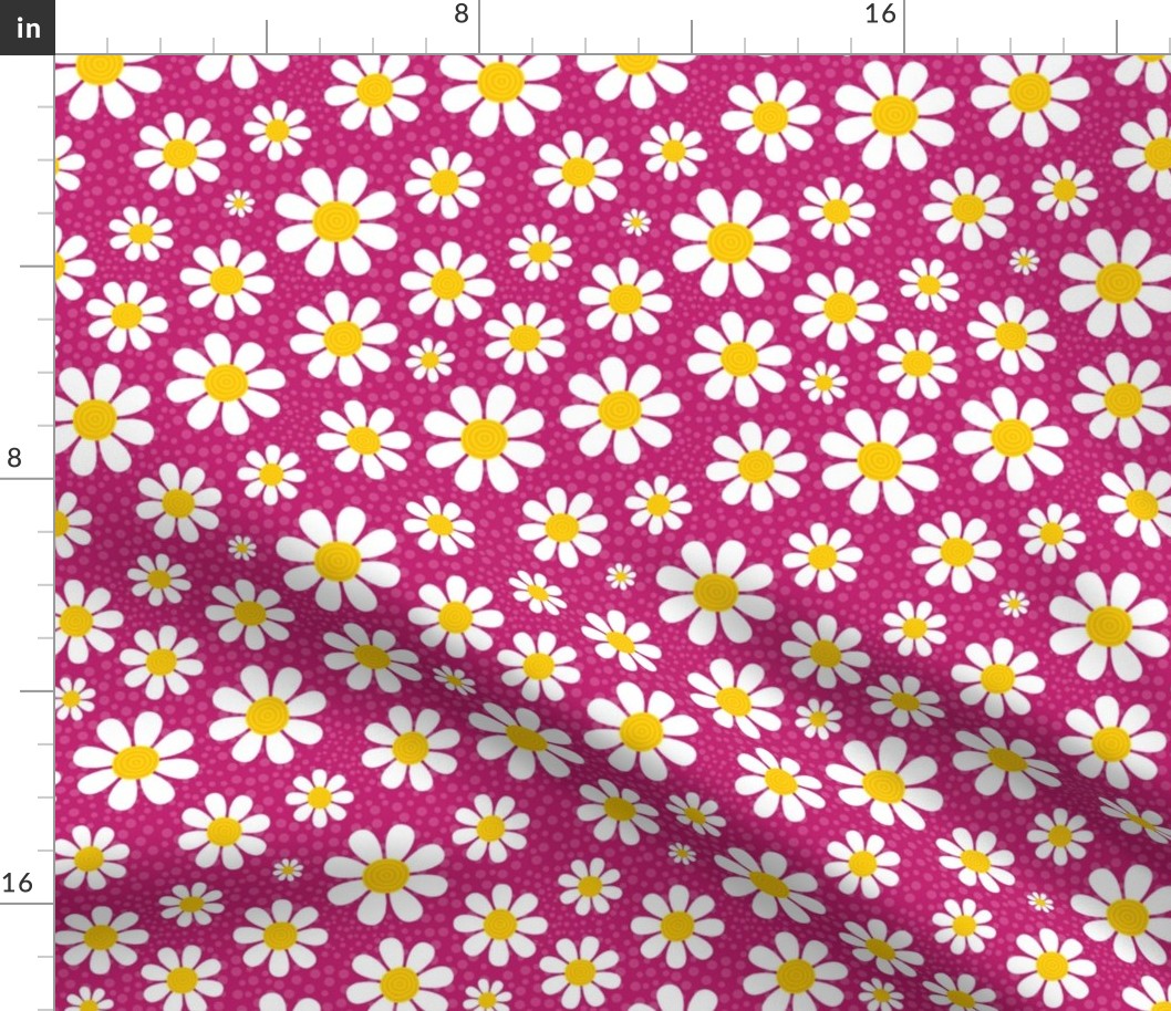 Medium Scale White Daisies Daisy Flowers on Hot Pink