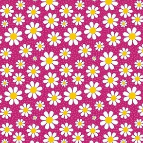 Small Scale White Daisies Daisy Flowers on Hot Pink
