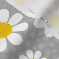 Large Scale White Daisies Daisy Flowers on Grey