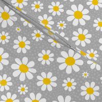 Medium Scale White Daisies Daisy Flowers on Grey