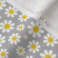 Small Scale White Daisies Daisy Flowers on Grey