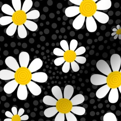 Large Scale White Daisies Daisy Flowers on Black
