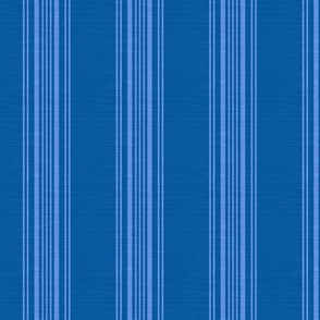 Textured Vertical Stripes Blue
