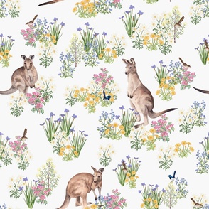  Australian Kangaroos, birds and wildflowers on  light grey. Medium