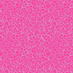 Shatter crackle mint on hot pink