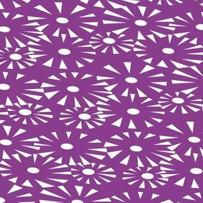 Go go fireworks - white on purple