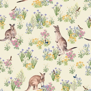  Australian Kangaroos, birds and wildflowers on light yellow. Medium