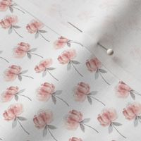 Watercolor Peony - tiny pink flowers on white for bows and accessories