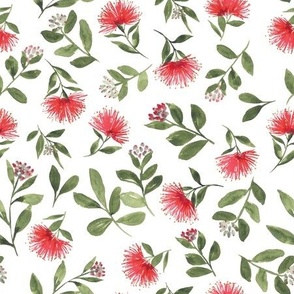 Pohutukawa Christmas Watercolor / large/ red and green Christas floral on white 