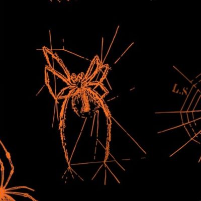 Halloween Spiders Orange Large