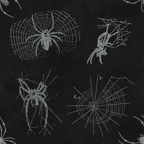 Spiders Black Halloween Vintage