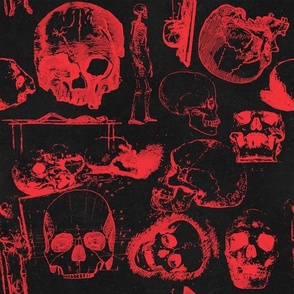 Skeleton Skull Horror Red Halloween