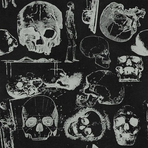 Skeleton Skull Gothic Black Halloween