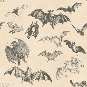 Tan Bats Vintage Old Creepy