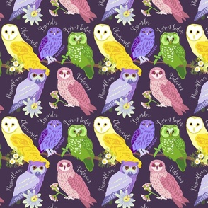 Little Sleepytime Owls